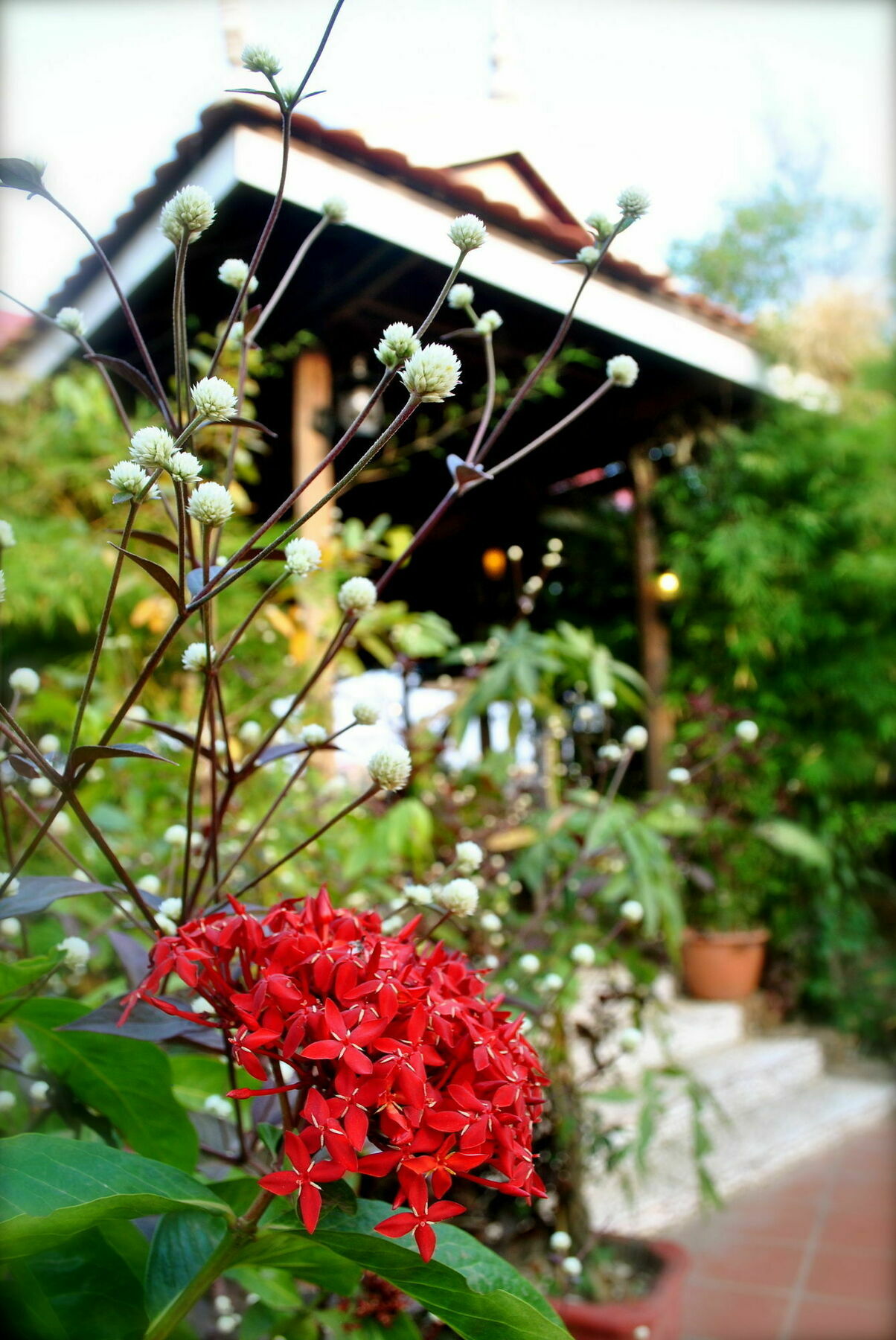 The River Lodge Кампот Екстериор снимка